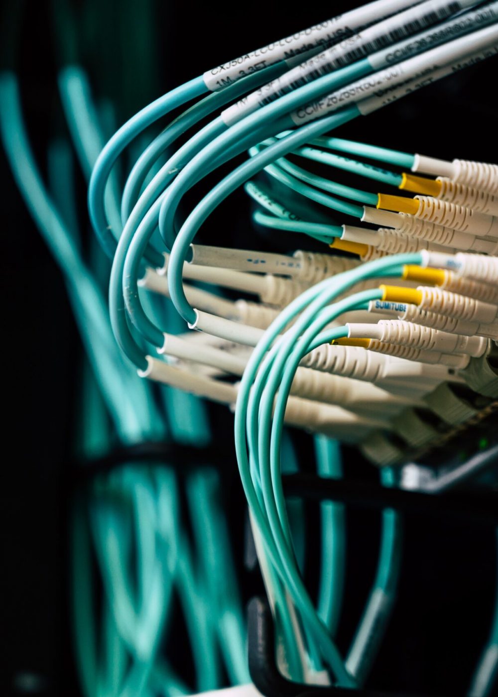 pexels-brett-sayles-2881229